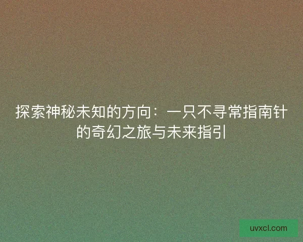 探索神秘未知的方向：一只不寻常指南针的奇幻之旅与未来指引
