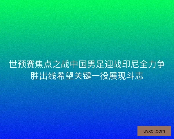 世预赛焦点之战中国男足迎战印尼全力争胜出线希望关键一役展现斗志